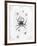 Barbary Spider-J. Pass-Framed Art Print