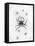 Barbary Spider-J. Pass-Framed Stretched Canvas