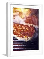 Barbecue-Cristina-Framed Photographic Print