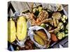 Barbecued Vegetables, Baked Potatoes, Lamb Chops on Barbecue Tray-Herbert Lehmann-Stretched Canvas