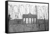 Barbed Wire and Brandenburg Gate-null-Framed Stretched Canvas