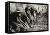 Barbed Wire Cut - Early 1900'S WWI Postcard Depicting Americans Going through Cut Barbed Wire with-lawcain-Framed Stretched Canvas