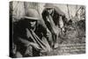 Barbed Wire Cut - Early 1900'S WWI Postcard Depicting Americans Going through Cut Barbed Wire with-lawcain-Stretched Canvas