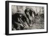 Barbed Wire Cut - Early 1900'S WWI Postcard Depicting Americans Going through Cut Barbed Wire with-lawcain-Framed Photographic Print