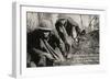 Barbed Wire Cut - Early 1900'S WWI Postcard Depicting Americans Going through Cut Barbed Wire with-lawcain-Framed Photographic Print