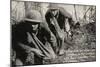 Barbed Wire Cut - Early 1900'S WWI Postcard Depicting Americans Going through Cut Barbed Wire with-lawcain-Mounted Photographic Print