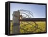 Barbed Wire Rolled Up, Lewistown, Montana-Chuck Haney-Framed Stretched Canvas