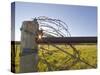 Barbed Wire Rolled Up, Lewistown, Montana-Chuck Haney-Stretched Canvas