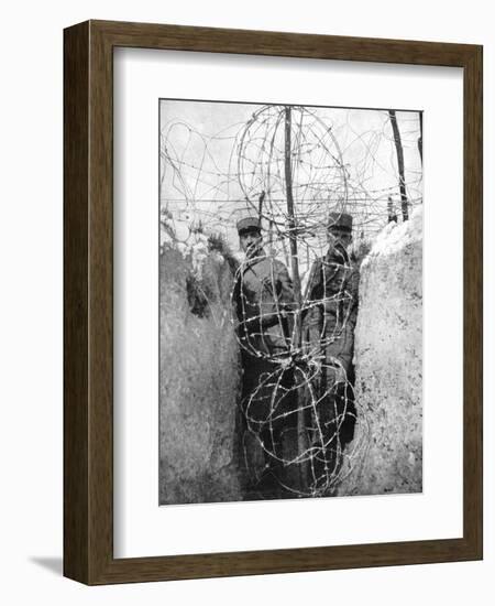 Barbed Wire Surrounding a French Trench, World War I, 1915-null-Framed Giclee Print