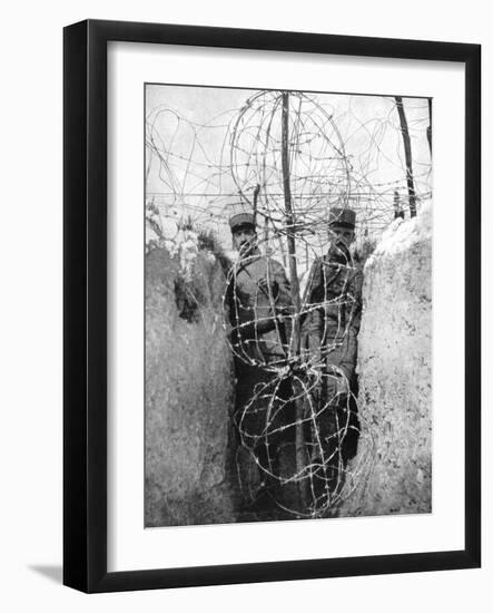 Barbed Wire Surrounding a French Trench, World War I, 1915-null-Framed Giclee Print