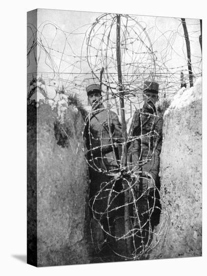 Barbed Wire Surrounding a French Trench, World War I, 1915-null-Stretched Canvas