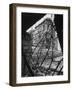 Barbed Wire Which Separates East and West Berlin-Paul Schutzer-Framed Photographic Print