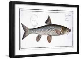 Barbel-Andreas-ludwig Kruger-Framed Giclee Print