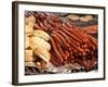 Barbequed Meats at the Stuttgart Beer Festival, Cannstatter Wasen, Stuttgart, Baden-Wurttemberg, Ge-Michael DeFreitas-Framed Photographic Print