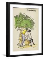 Barber, Barbados-null-Framed Giclee Print