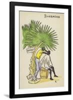 Barber, Barbados-null-Framed Giclee Print