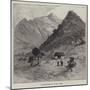 Barberton in June 1885-null-Mounted Giclee Print