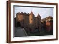 Brown Frame