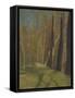 Barbizon en automne-Odilon Redon-Framed Stretched Canvas