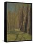 Barbizon en automne-Odilon Redon-Framed Stretched Canvas