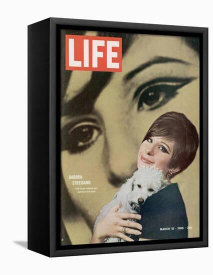 Barbra Streisand, March 18, 1966-Bill Eppridge-Framed Stretched Canvas