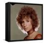 Barbra Streisand-null-Framed Stretched Canvas