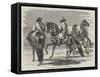 Barbs Presented to Queen Victoria by the Emperor of Morocco-null-Framed Stretched Canvas