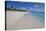 Barbuda, Antigua and Barbuda, Leeward Islands, West Indies-Roberto Moiola-Stretched Canvas