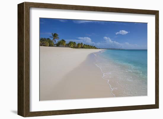 Barbuda, Antigua and Barbuda, Leeward Islands, West Indies-Roberto Moiola-Framed Photographic Print