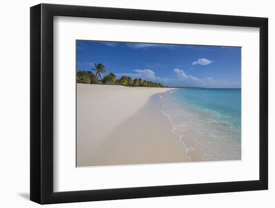 Barbuda, Antigua and Barbuda, Leeward Islands, West Indies-Roberto Moiola-Framed Photographic Print