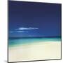 Barbuda I-Chris Simpson-Mounted Giclee Print