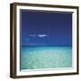 Barbuda II-Chris Simpson-Framed Giclee Print