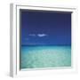 Barbuda II-Chris Simpson-Framed Giclee Print