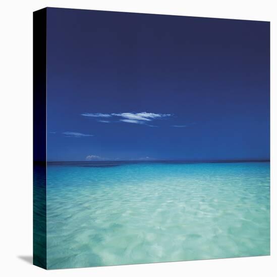 Barbuda II-Chris Simpson-Stretched Canvas