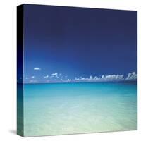 Barbuda III-Chris Simpson-Stretched Canvas