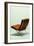 Barcelona Armchair 250-Cesare Tallone-Framed Giclee Print