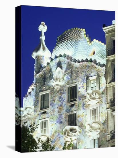 Barcelona, Casa Batllo, Spain-Steve Vidler-Stretched Canvas