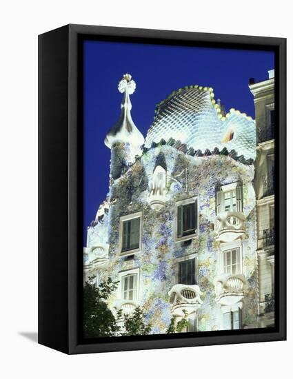 Barcelona, Casa Batllo, Spain-Steve Vidler-Framed Stretched Canvas