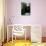 Barcelona Spain Apartment Lobby Photo Print Poster-null-Poster displayed on a wall