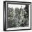 Barcelona (Spain), Duke of Medinaceli Square-Leon, Levy et Fils-Framed Photographic Print