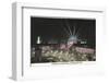 Barcelona, Spain - International Exhibition-null-Framed Photographic Print