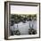 Barcelona (Spain), Rebato's Port-Leon, Levy et Fils-Framed Photographic Print