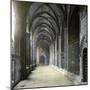 Barcelona (Spain), the Cathedral's Cloister-Leon, Levy et Fils-Mounted Premium Photographic Print