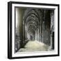 Barcelona (Spain), the Cathedral's Cloister-Leon, Levy et Fils-Framed Photographic Print