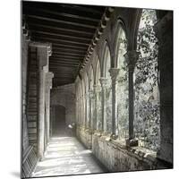 Barcelona (Spain), the Cloister of Saint Anne's Church-Leon, Levy et Fils-Mounted Photographic Print