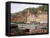 Barche a Portofino-Guido Borelli-Framed Stretched Canvas