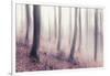 Bare Beech Forest in Winter, Abstract Study [M], Film Grain Visible-Andreas Vitting-Framed Photographic Print