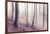 Bare Beech Forest in Winter, Abstract Study [M], Film Grain Visible-Andreas Vitting-Framed Photographic Print