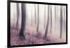 Bare Beech Forest in Winter, Abstract Study [M], Film Grain Visible-Andreas Vitting-Framed Photographic Print