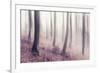 Bare Beech Forest in Winter, Abstract Study [M], Film Grain Visible-Andreas Vitting-Framed Photographic Print